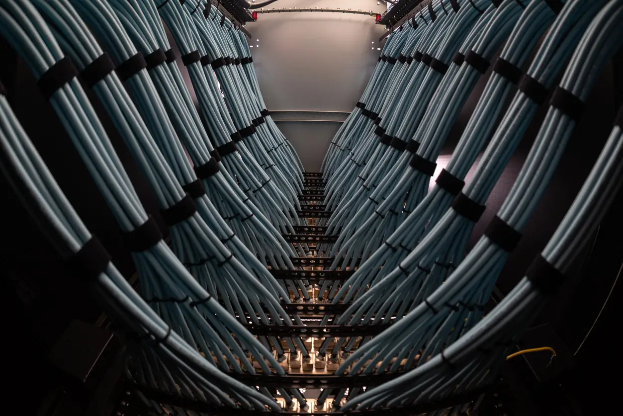 Blue data cables neatly organized in a server rack, showcasing a high-tech networking environment.